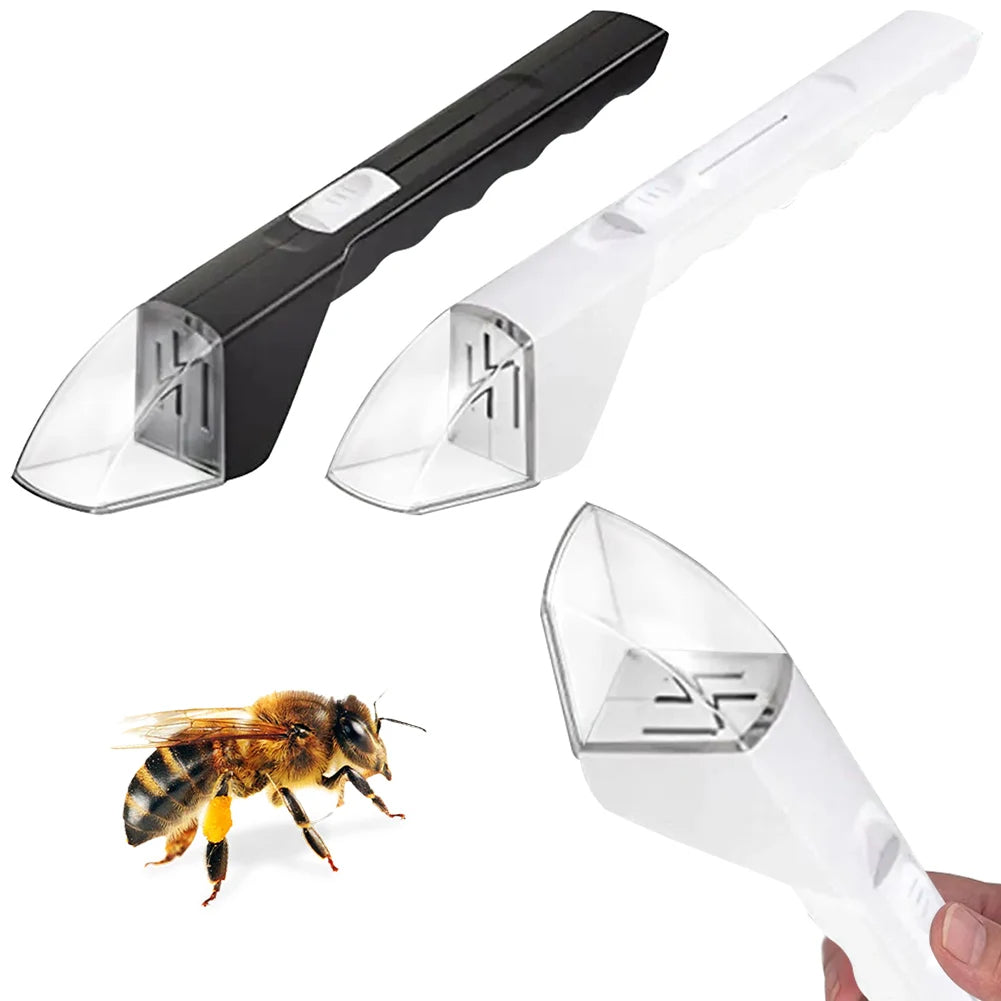 Key Insect Catcher Portable Transparent Insect Catcher